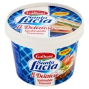 Galbani Santa Lucia il Delizioso Spalmabile Cremoso 250 g